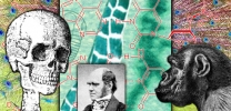 Evolution, das bunte Labor der Natur