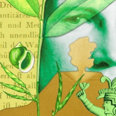 Alexander von Humboldt