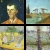 Arles: hier vollendet van Gogh seinen Malstil