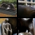 Henry Moore