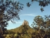 Glasshouse mountain (Nationalpark in Queensland)