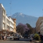 Arusha
